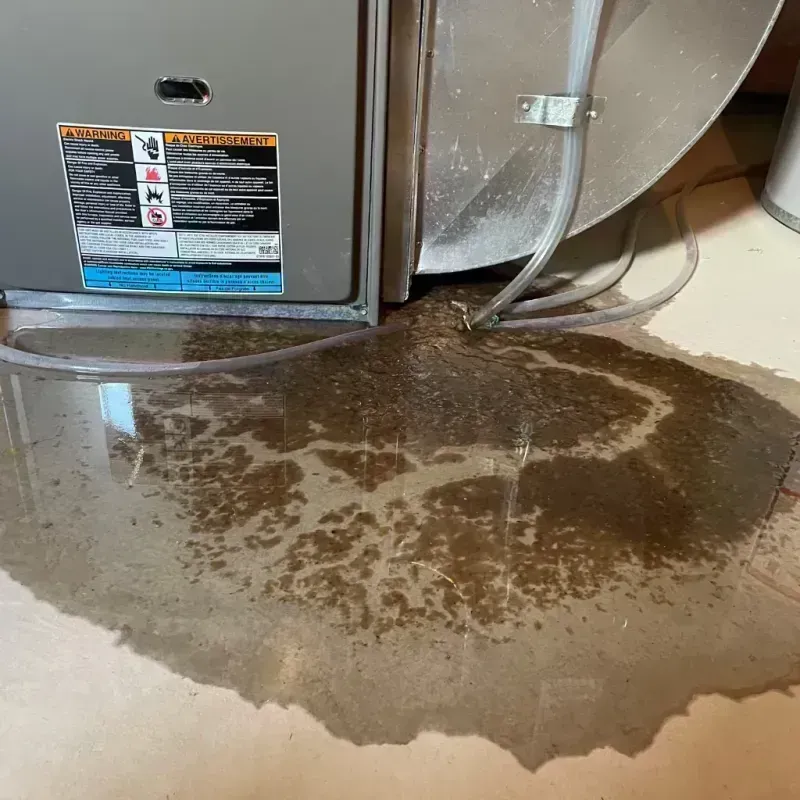 Appliance Leak Cleanup in Suffolk, VA